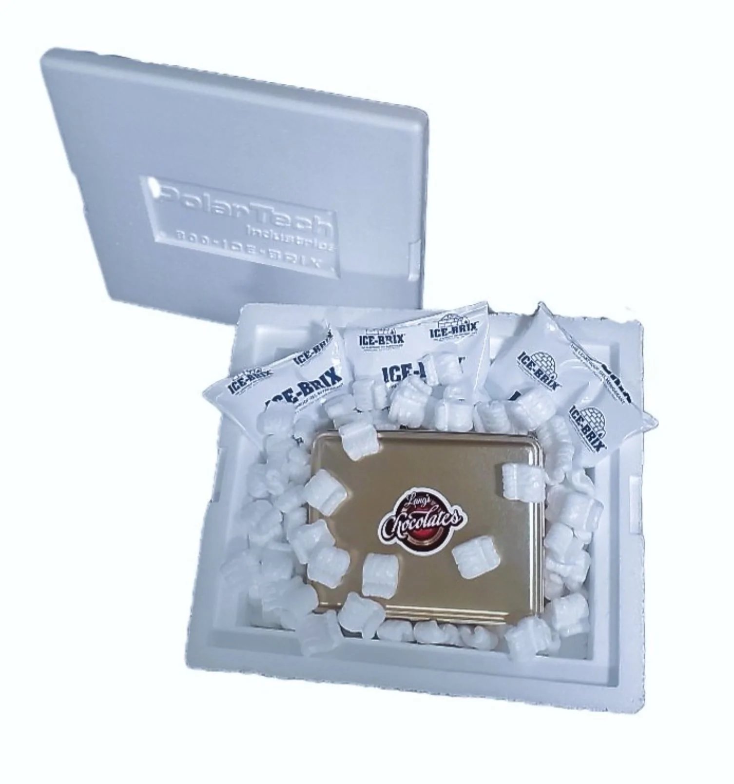 Keystone Pantry Shipping Cooler with Ice Packs and Packing Peanuts